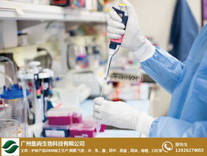 集尚生物 探索上海化妆品OEM代加工的卓越之路